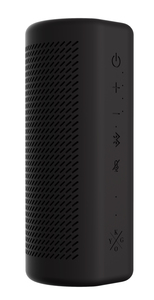 B9/800 WiFi Smart Speaker GVA BLACK