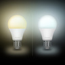 Smart bulb CCT 1+1 Free