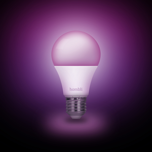 Smart Bulb E27 RGB + CCT incl. BT