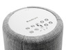 A10 MKII Wireless Speaker - Light Grey